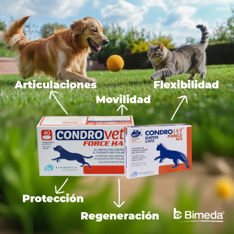 Protege las articulaciones de tu mascota: Prevención y apoyo con Condrovet