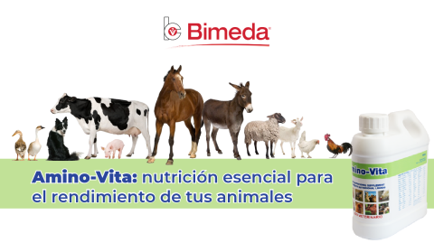 Amino-Vita: nutrición esencial para el rendimiento de tus animales
