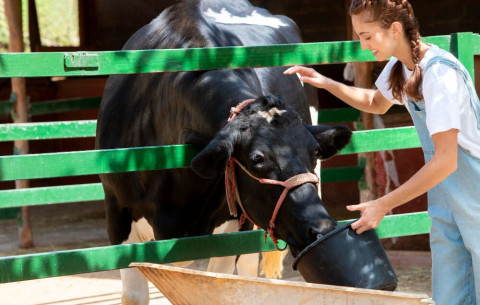 Control de parásitos en bovinos: estrategias efectivas y errores comunes