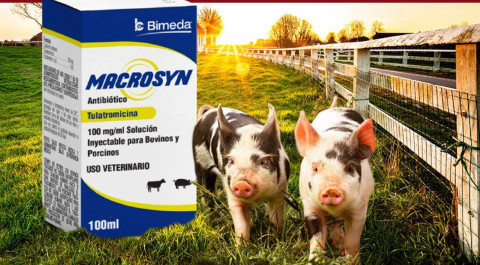 Macrosyn de Bimeda: Una Solución Antibiótica para Porcinos
