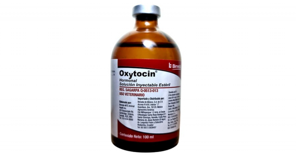 Oxytocin